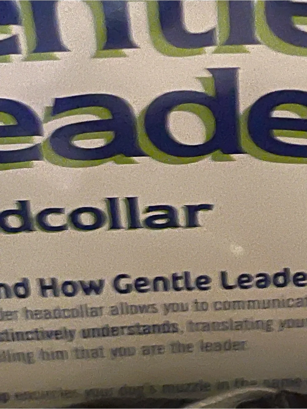 Gentle Leader headcollar blue